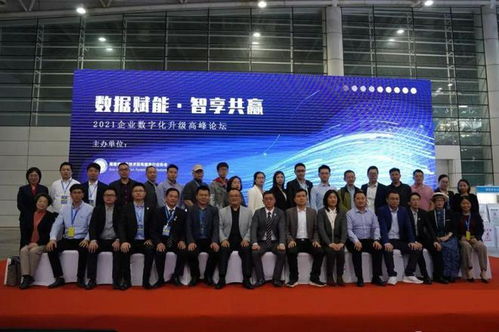 福建省信息技术咨询服务行业协会会长陈维芳向全国人民拜新年