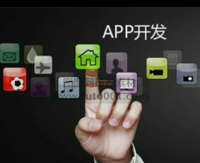 山东德州APP开发与信息技术咨询服务指南